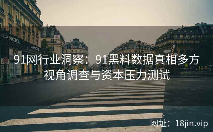 91网行业洞察：91黑料数据真相多方视角调查与资本压力测试