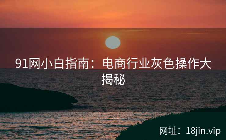 91网小白指南：电商行业灰色操作大揭秘