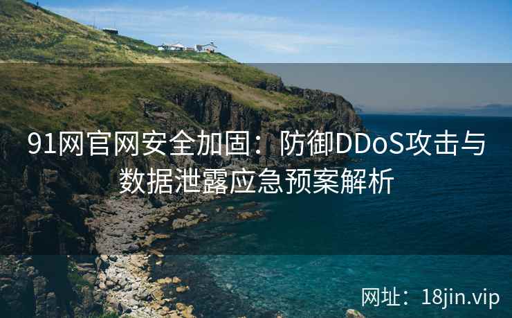 91网官网安全加固：防御DDoS攻击与数据泄露应急预案解析