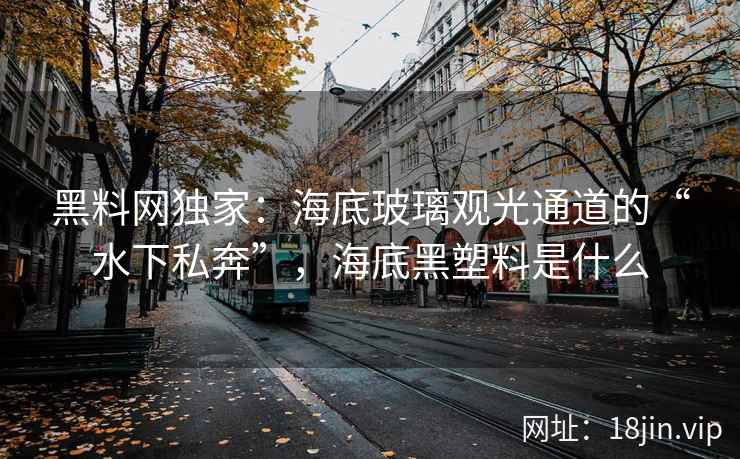 黑料网独家：海底玻璃观光通道的“水下私奔”，海底黑塑料是什么